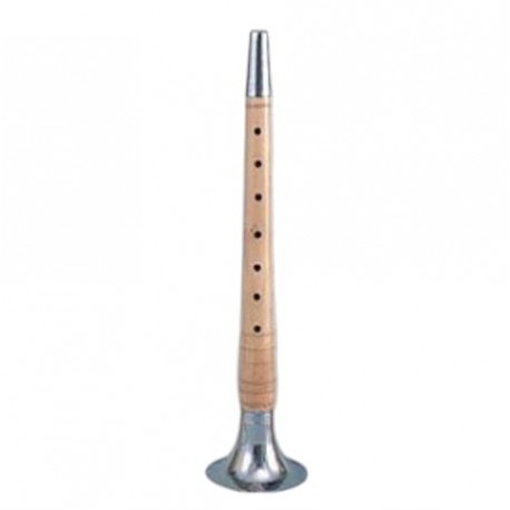 Indian Traditional Shehnai Instrument