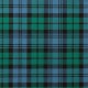 Campbell Clan Ancient 100% Pure New Wool Tartan Fabric