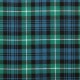Lamont Ancient 100% Pure New Wool Tartan Fabric