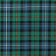 Robertson Hunting Ancient 100% Pure New Wool Tartan Fabric
